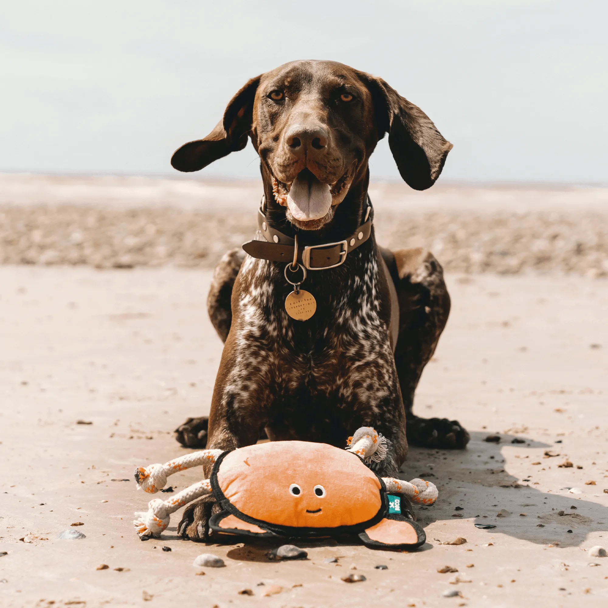 Beco Rough & Tough Recycled Dog Toy, Crab