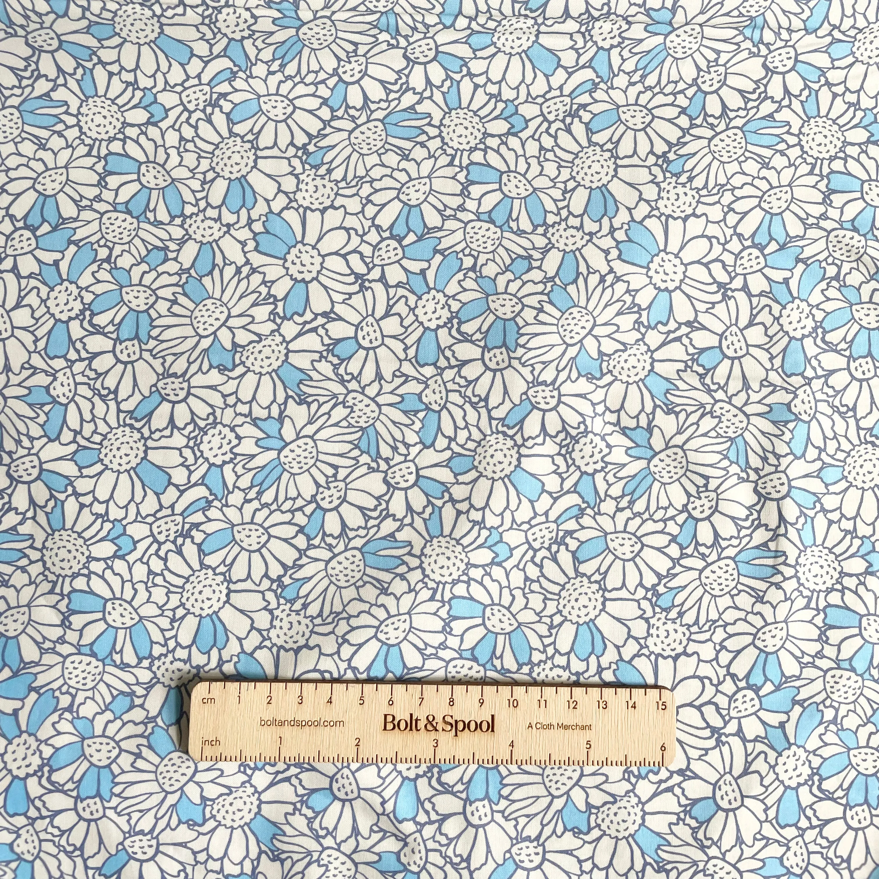 Paintbrush Studio : Pretty Petals - Blue