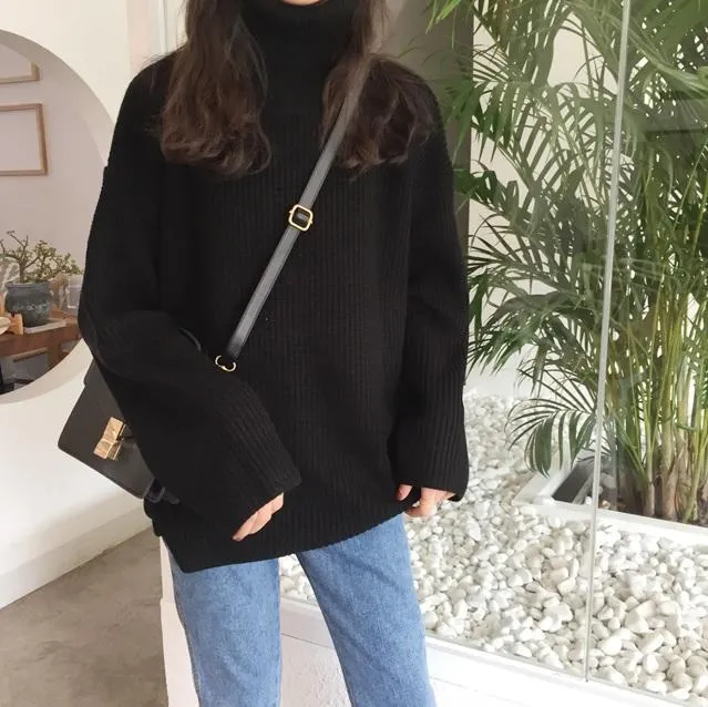 Turtle Neck Knit Long Sleeve Cozy Warm Sweater