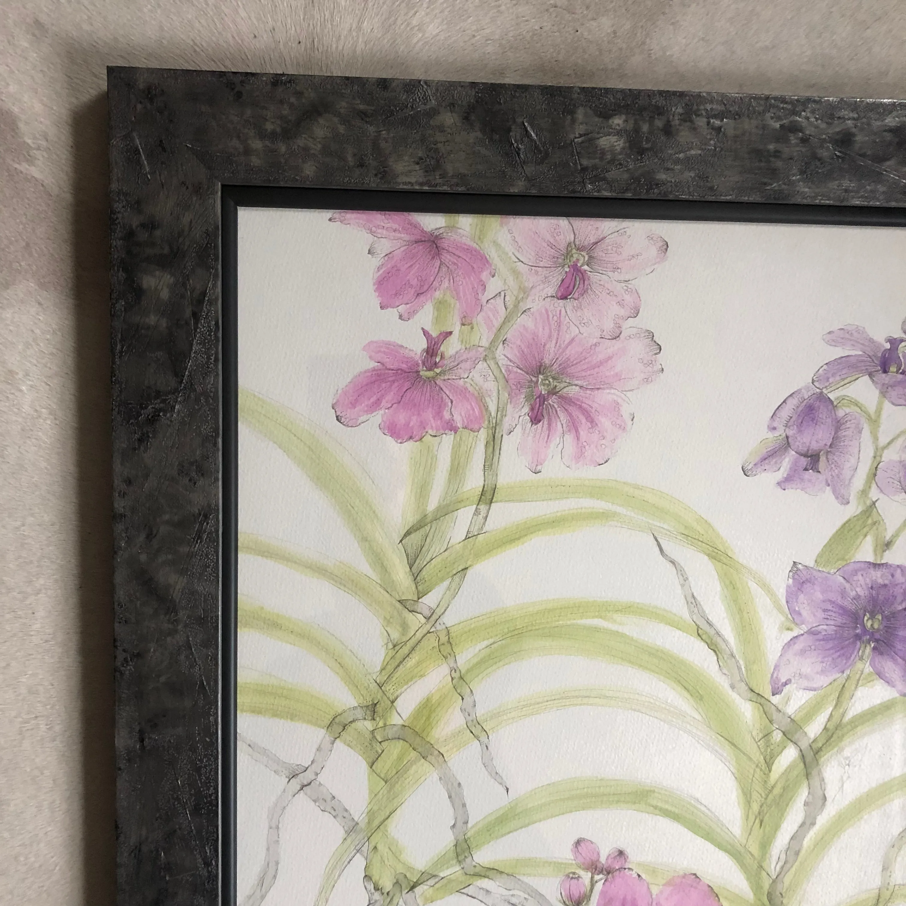 Vanda Orchids Ink Painting
